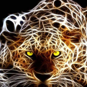 Meet your Posher, Rick